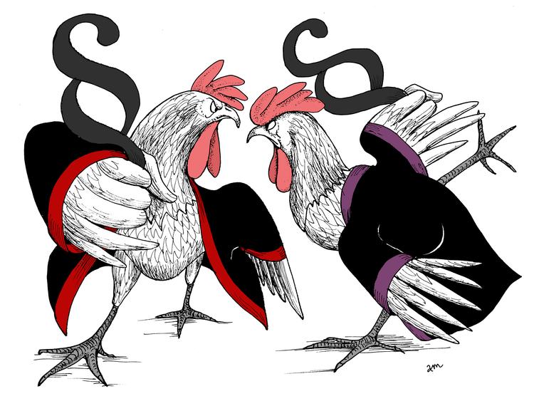 Foto: Anne-marie Steen Petersen/POLITIKEN