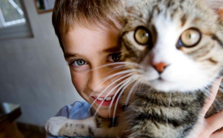 Arkivfoto Carsten Ingemann