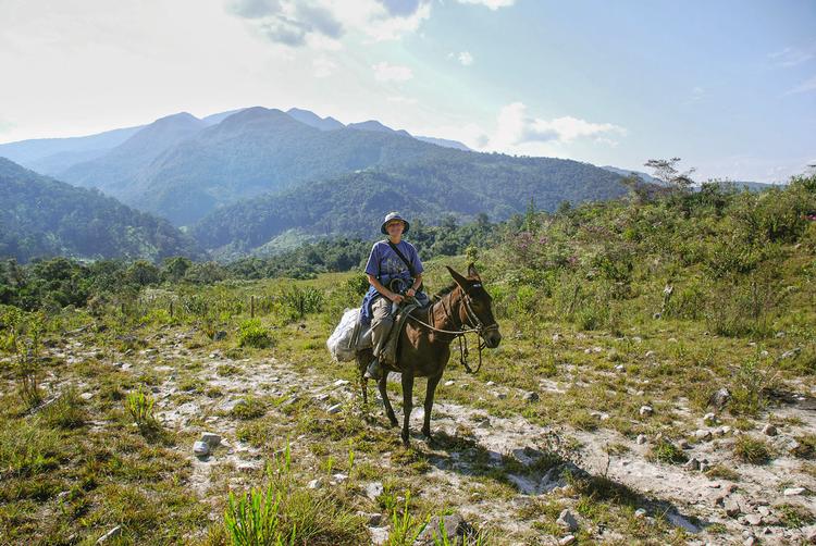 Antropolog og arkæolog Inge Schjellerup på hest under et af sine mange feltarbejder i Peru. Mange af hendes togter har bragt forskeren ud i afkroge af det gamle Inkarige, der kun var tilgængelige til fods over mange dage med machete i hånden. Nu har hun skruet ned for tempoet og vil i hovedsagen ikke længere ud end hun kan komme til hest.  Foto: Privatfoto