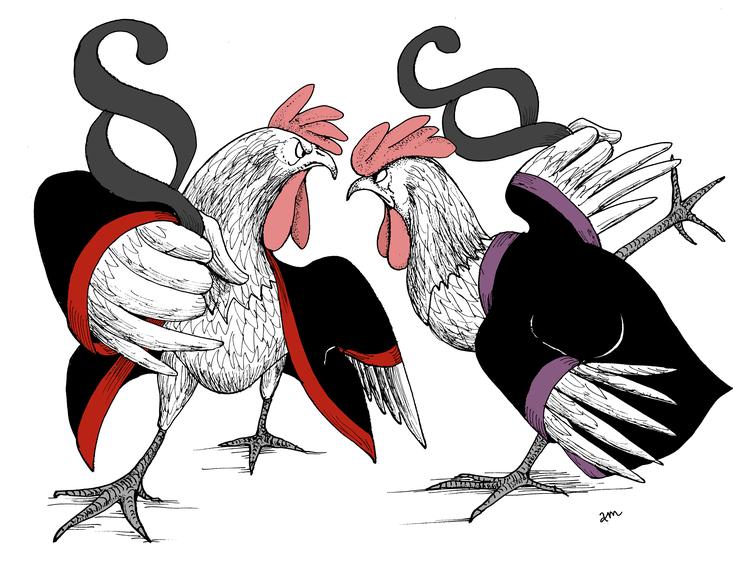 Foto: Anne-marie Steen Petersen/POLITIKEN