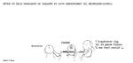 web_maren_2022-09-05