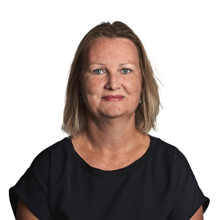 45-årige Lina Gandløse Hansen har tidligere bl.a. arbejdet som handelsattché ved den danske ambassade i Paris.  Foto: Privatfoto