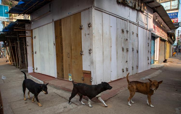 Foto: Anupam Nath/Ritzau Scanpix