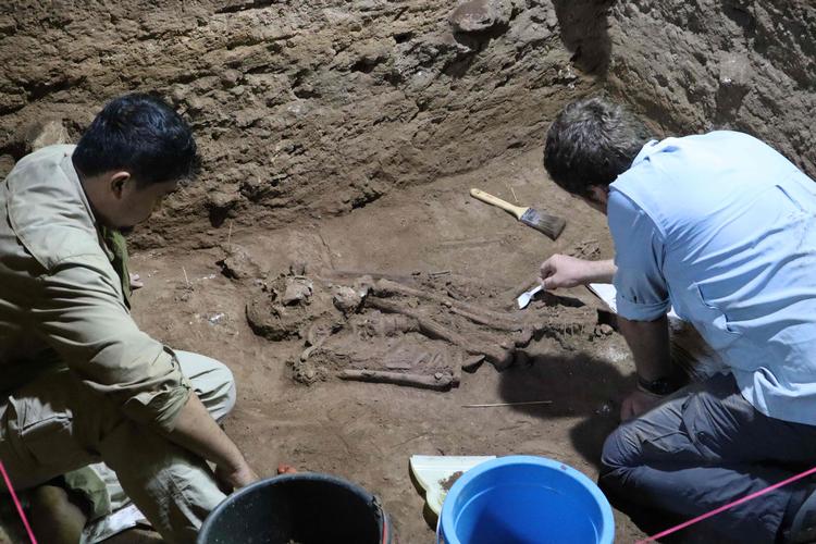 Fra udgravningen i marts 2020, hvor videnskabsfolk fra Griffith University i Australien finder et 31.000 år gammelt skelet på Borneo, der tyder på, at man allerede dengang kunne udføre en benamputation uden at slå patienten ihjel. Foto: Tim Maloney / GRIFFITH UNIVERSITY / AFP/Ritzau Scanpix