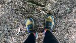 Dilemmaet mellem frihed og forældreskab blev helt konkret en fredag eftermiddag ude i Hareskoven. 