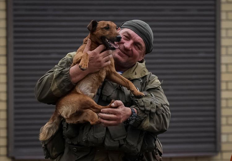 Zolotjiv 18 kilometer fra grænsen til Rusland er en af de mange byer, der er blevet generobret af Ukraine. Og det er selv hundene glade for. Foto: Gleb Garanich/Ritzau Scanpix
