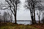 Gribskov i Nordsjælland er et af de store områder herhjemme, der fremover får status af naturnationalpark. Foto: Martin Lehmann