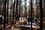 I en fyrreskov i Izjum syd for Kharkiv i Ukraine dukkede en masse grave op, efter at russerne tidligere på måneden blev tvunget på tilbagetog af ukrainernes modoffensiv. Foto: Martin Lehmann