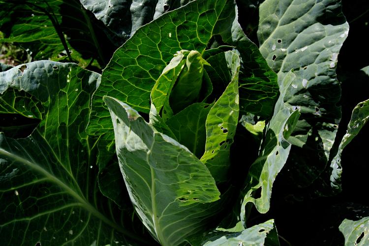 Foto: Martin Lehmann