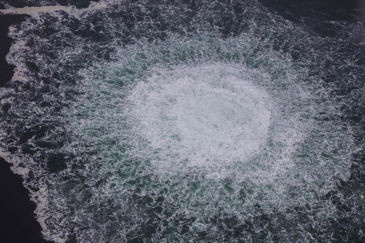 Foto: Handout/Ritzau Scanpix