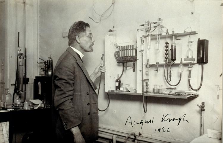 Foto: Iconographic Collections