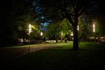 Det er endnu ikke endeligt bestemt, i hvilke parker lyset skal slukkes fra midnat til kl. fem om morgenen. Men her ses et billede fra Nørrebroparken, hvor lyset bruges til at lyse cykelstien op. Foto: Andreas Merrald (arkiv)