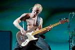 Flea og resten af Red Hot Chili Peppers stod på scenen i Chicago i august i år. Foto: Rob Grabowski/Ritzau Scanpix