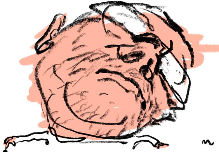 Foto: Mette Dreyer/POLITIKEN