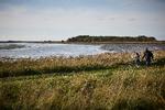 Limfjordsøen Egholm vil blive spoleret, hvis det største motorvejsbyggeri i en aftale fra sidste år bliver gennemført.  Foto: Claus Bjørn Larsen