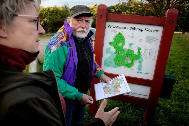 Elisabeth Sthur og Flemming Hjorth viste rundt, da Politiken sidste år besøgte Bidstrupskovene. Dengang kæmpede de for at undgå, at området blev udpeget til naturnationalpark.   Foto: Martin Lehmann