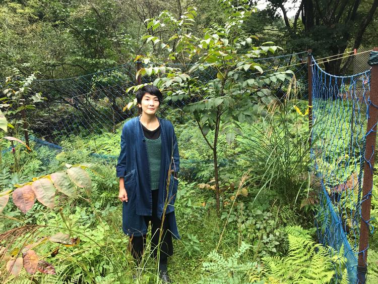 Sachiko Matsuyama viser et nyplantet urushi-træ, som kun er et år gammelt. Det er et projekt, der kræver tålmodighed. Først om 12-14 år kan der udtrækkes urushi af det. 