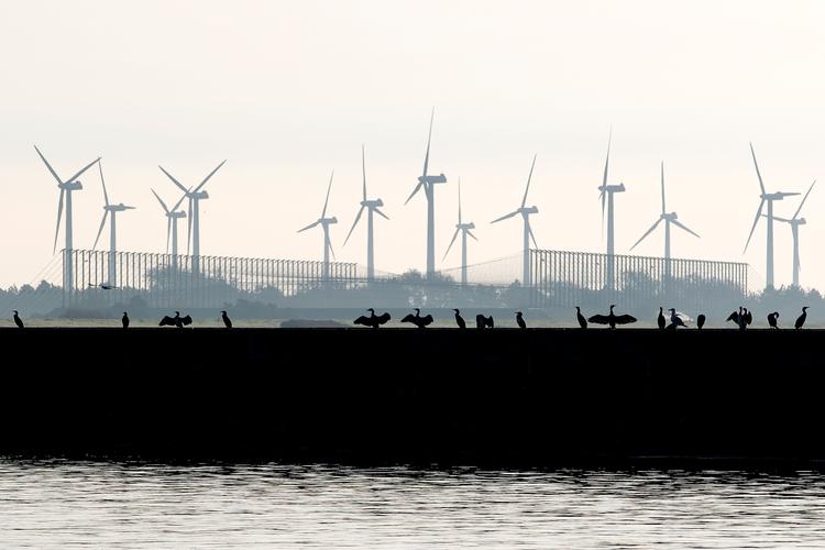 De blinkende lys i toppen på vindmøller kan være til stor visuel gene, ikke mindst i kystnære havvindmølleparker. Men de behøver ikke at blinke hele tiden. Foto: Finn Frandsen