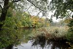 Efterårets farver er altid flotte at se på. I weekenden er der ikke mange undskyldninger for en tur ud i naturen, da det bliver lunt årstiden taget i betragtning (arkivfoto) Foto: Jens Dresling