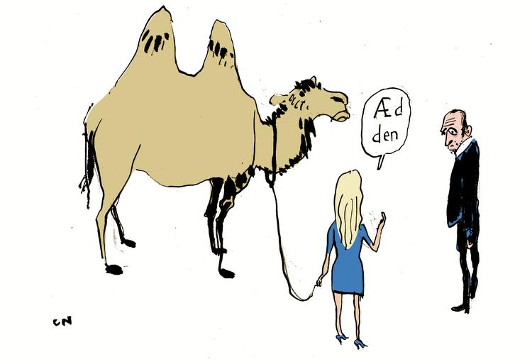 Foto: Claus Nørregaard/POLITIKEN