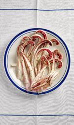 Foto: Theis Bothmann