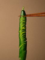 Foto: Theis Bothmann