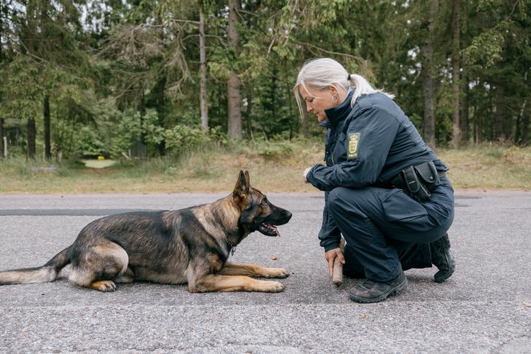 Puk Stender gør status over det første år som landbetjent på Samsø. Her er hun til eksamen med sin politihund Django i juni i Tirstrup.   Foto: Jens Hartmann/Jens Hartmann