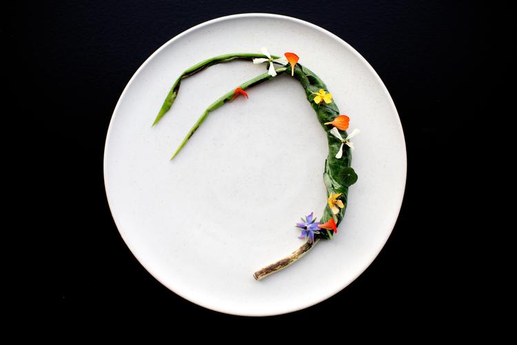 Amass på Refshaleøen. Arkivfoto. Foto: Peter Hove Olesen