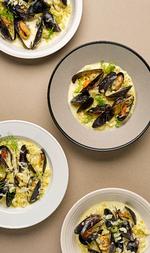 Foto: Theis Bothmann