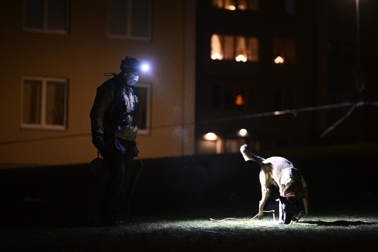 Foto: 10070 Jessica Gow/tt/Ritzau Scanpix