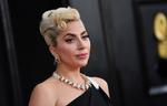 Lady Gaga udlovede i sin tid en dusør på ca. 3,5 mio. kroner for at få sine hunde tilbage. Foto: Angela Weiss/Ritzau Scanpix