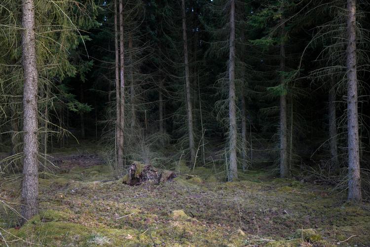 Foto: Louise Herrche Serup