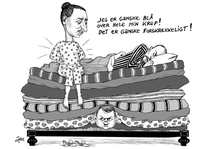 Foto: Anne-marie Steen Petersen/POLITIKEN