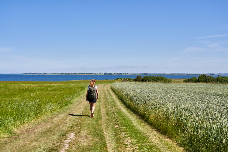 Foto: Alexander Vissing