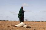 Foto: Feisal Omar/Ritzau Scanpix