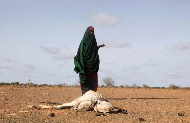 Foto: Feisal Omar/Ritzau Scanpix