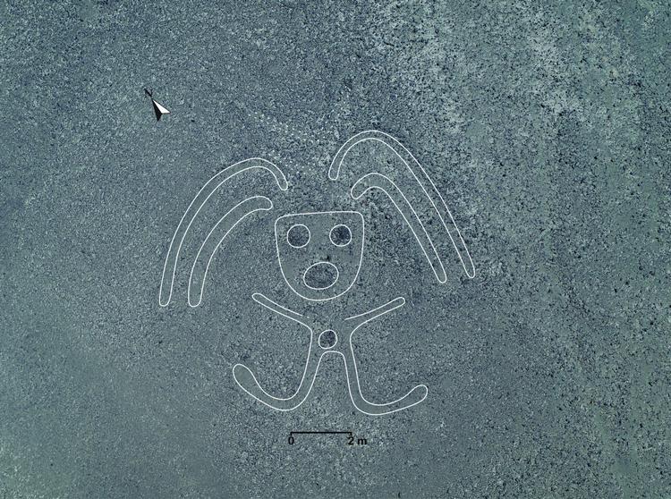 Her ses en af de nyfundne geoglyffer.  Foto: Yamagata University