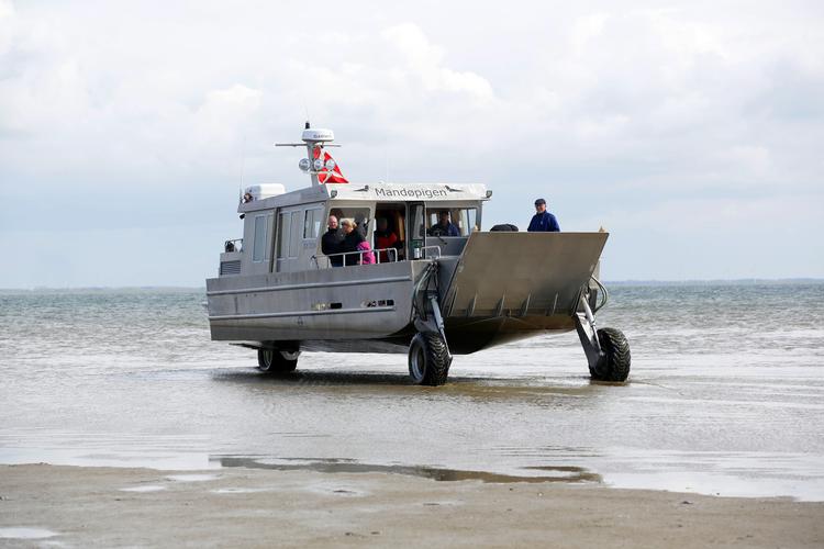 Amfibiekøretøjet 'Mandøpigen' kan både sejle og køre i Vadehavet og er en af mange aktiviteter ved Vesterhavet. Foto: Morten Langkilde