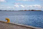 I 2022 druknede mindst 83 mennesker ved drukneulykker i Danmark. Foto: Finn Frandsen