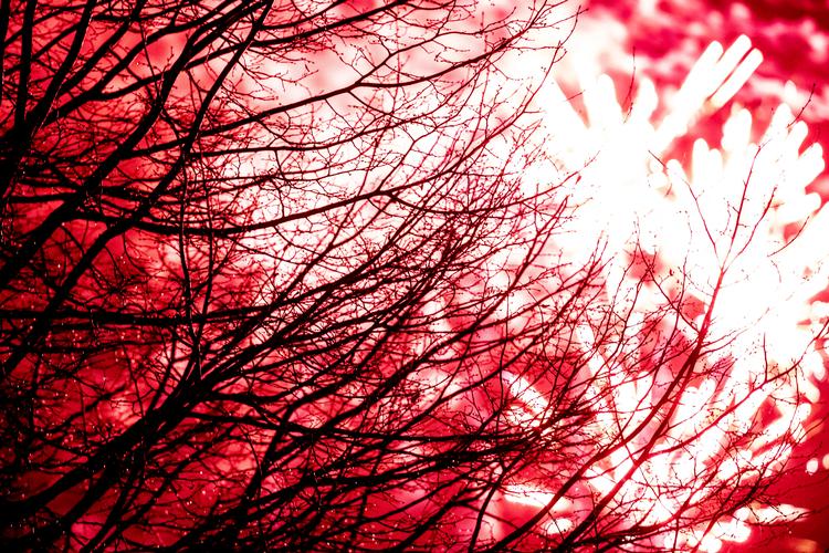 Foto: Mads Claus Rasmussen/Ritzau Scanpix