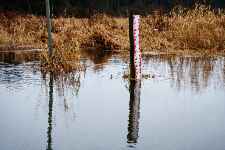Store mængder nedbør skabte onsdag problemer rundt om i landet. Her er Sørkelvej ved Silkeborg spærret på grund af vand på vejen. Foto: Bo Amstrup/Ritzau Scanpix