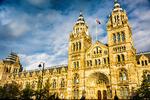 Natural History Museum i London er at af verdens førende naturhistoriske museer. Hvert år uddeler den en pris til det bedste naturfotografi, som de nu får kritik for, at Dong har sponseret med den klausul ikke at blive kritiseret.  Foto: Mikel Bilbao/Ritzau Scanpix