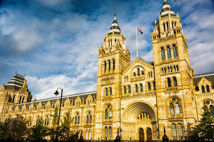 Natural History Museum i London er at af verdens førende naturhistoriske museer. Hvert år uddeler den en pris til det bedste naturfotografi, som de nu får kritik for, at Dong har sponseret med den klausul ikke at blive kritiseret.  Foto: Mikel Bilbao/Ritzau Scanpix