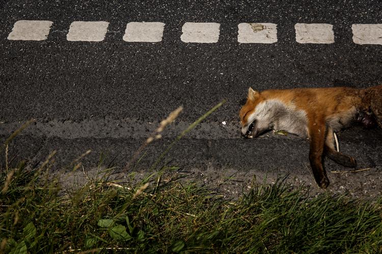 Foto: Mads Nissen