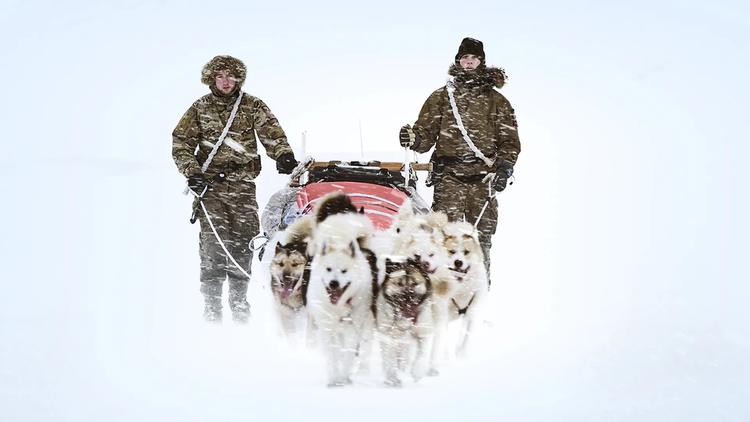 Tv-serien om Slædepatruljen Sirius er et produkt af uforlignelig viljestyrke. Den finder man hos patruljens medlemmer - og måske især hos fotograf og instruktør Lasse Rahbek. Foto: Lasse Rahbek, DR/Impact/DR