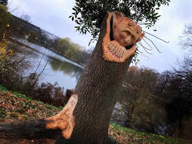Forfald kan blive til nye oplevelser for hundeluftere og lokale her i Kildevældsparken på Østerbro.  Foto: Per Munch