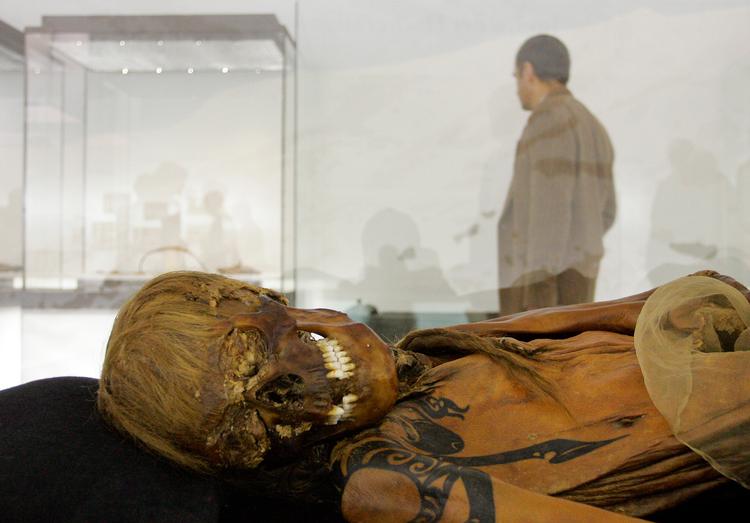 Denne mumie vises ofte, når man hører om den skytiske kultur, fordi den er så velbevaret, at man kan se personens tatoveringer. Her bliver den vist på museum i Berlin i 2007. Skyterne kom også i fokus, da Rusland sidste år invaderede Ukraine, og lokale museer gemte skytisk guld i kældre for at forhindre plyndringer.   Foto: Franka Bruns/Ritzau Scanpix