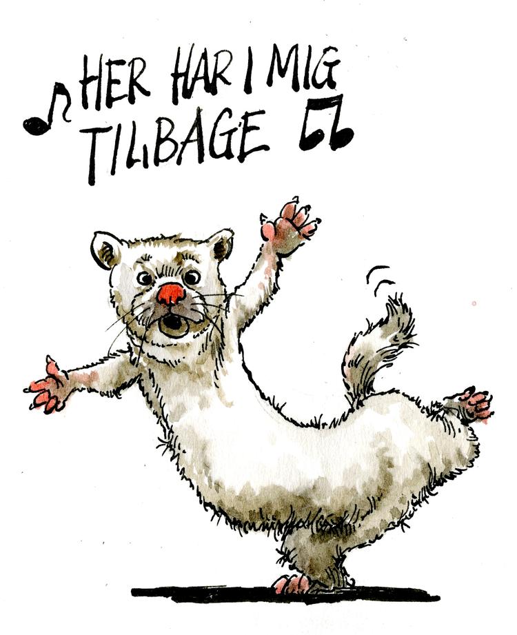 Foto: Roald Als/POLITIKEN