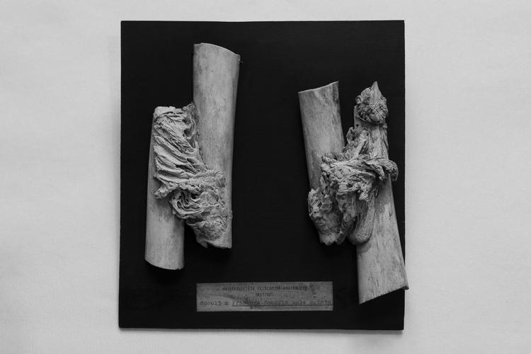 Foto: Hannah Aurora Almstrup