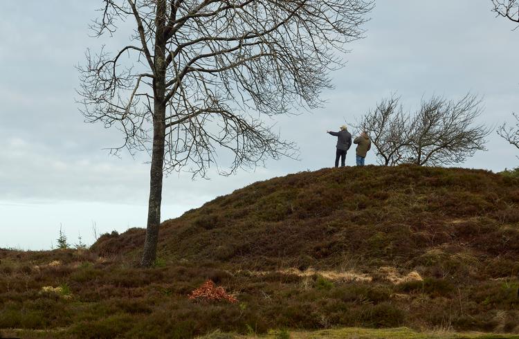 Forskere har på optagelser fra Ulfborg set to ulve, der formentlig er et par (arkivfoto) Foto: Morten Langkilde/Morten Langkilde